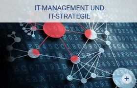 IT-Management und IT-Strategie